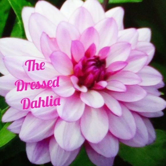 dresseddahlia